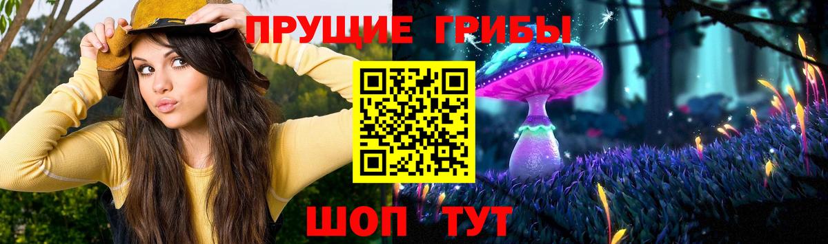 Мирный  Псилоцибиновые грибы мицелий  Вход с VPN  Галлюциногенные грибы мицелий 